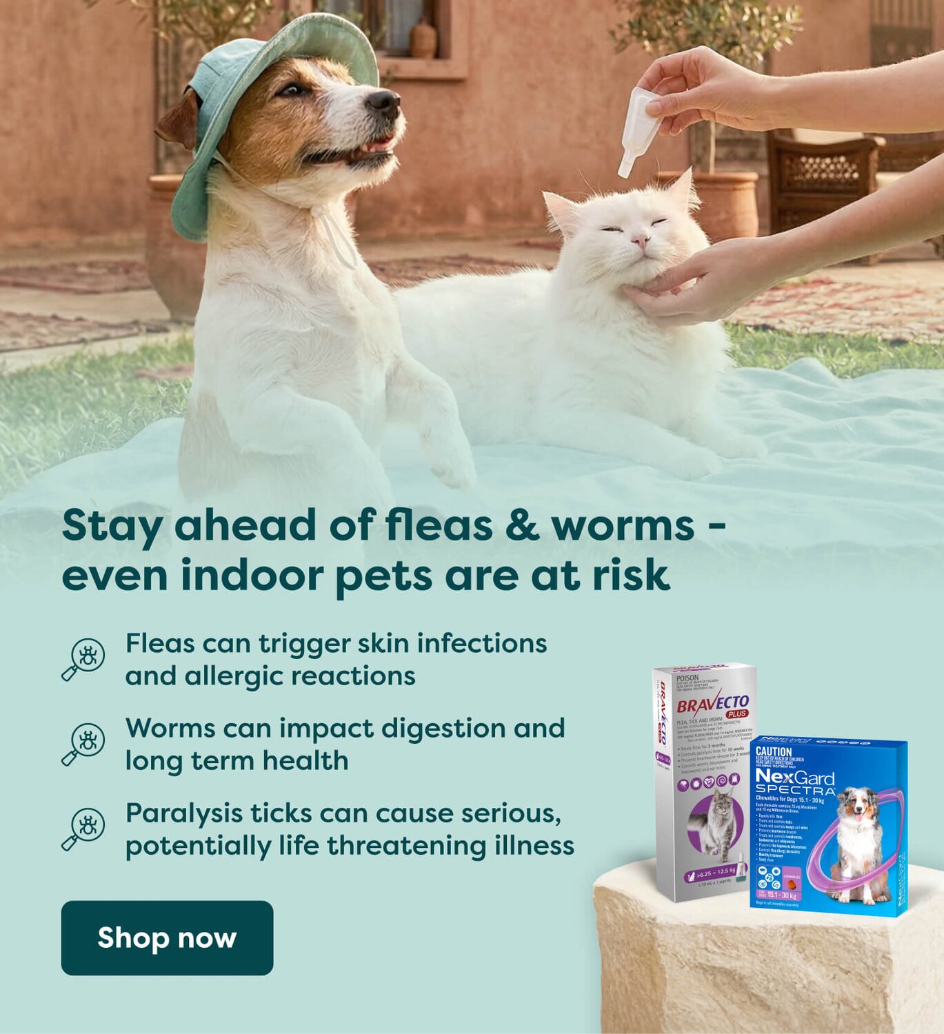 vet guide to fleas, ticks and worms
