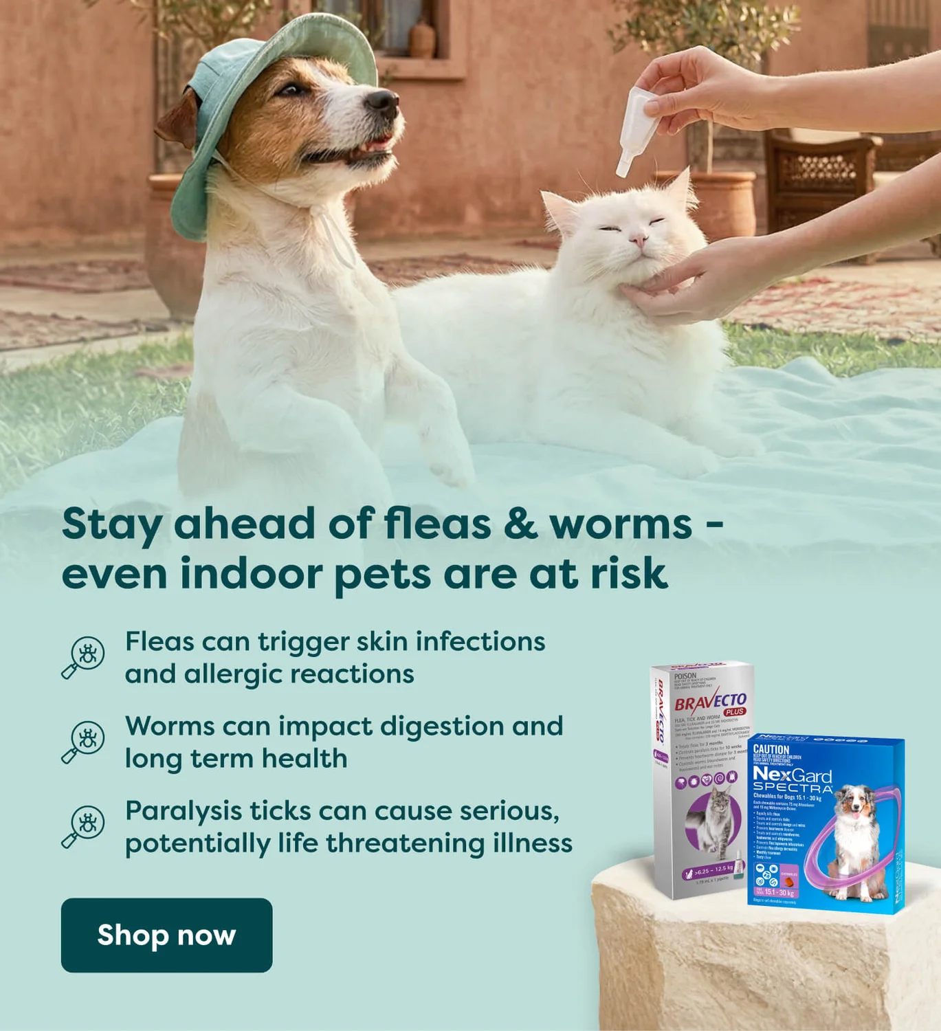 vet guide to fleas, ticks and worms