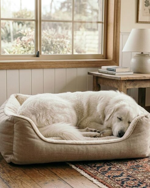 maremma-sheepdog-sleeping