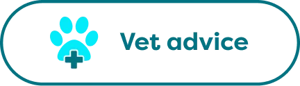 Vet advice