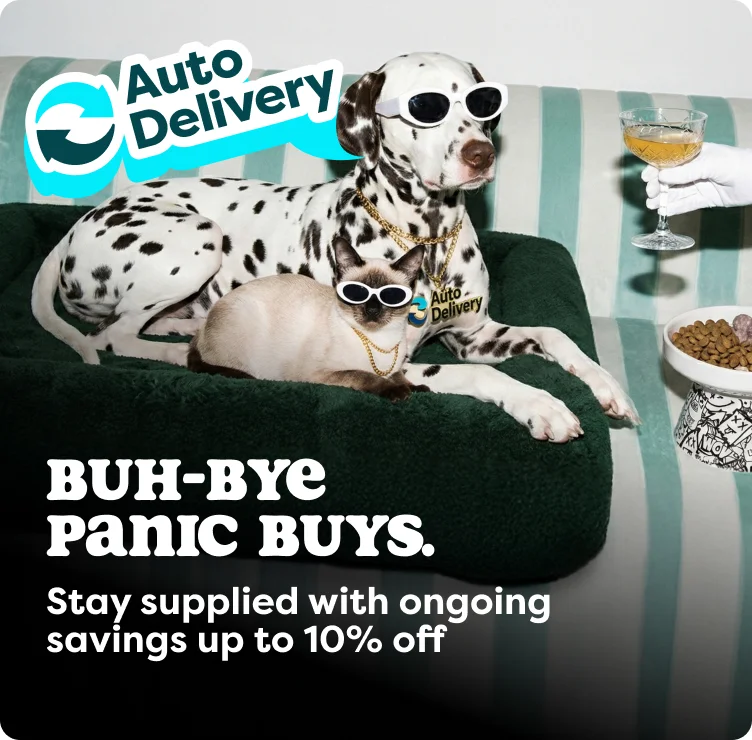 Auto Delivery First three orders offer