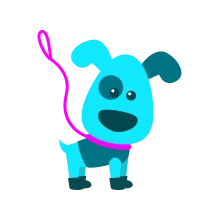 Dog clothing & walking