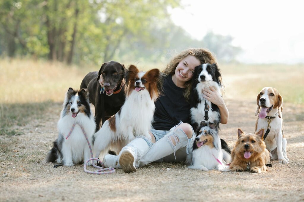 lady with seven different dog breeds around her