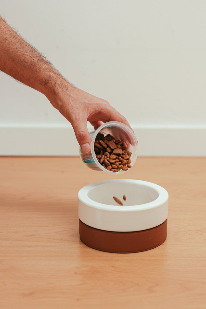dry food being poured into a bowl