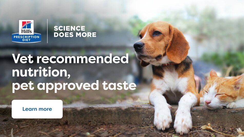 Vet recommended nutrition