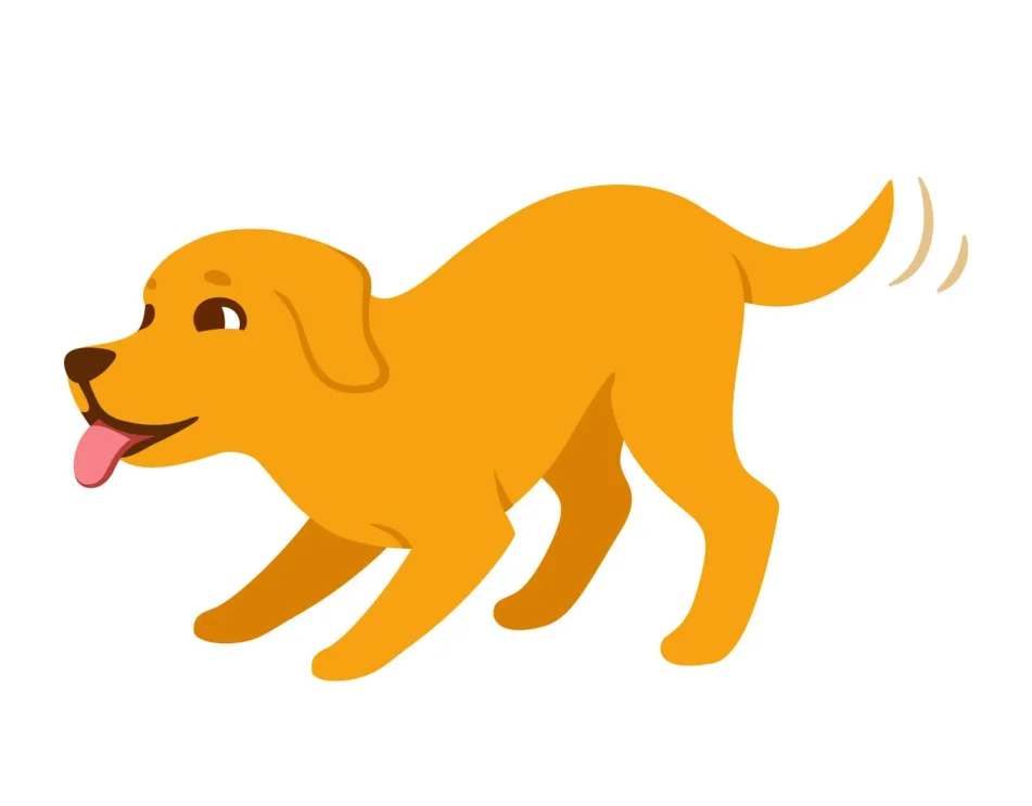 animation of dog ready to play