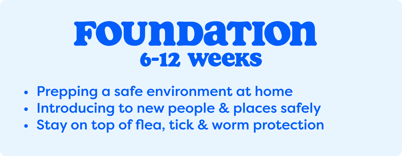 6-12 weeks