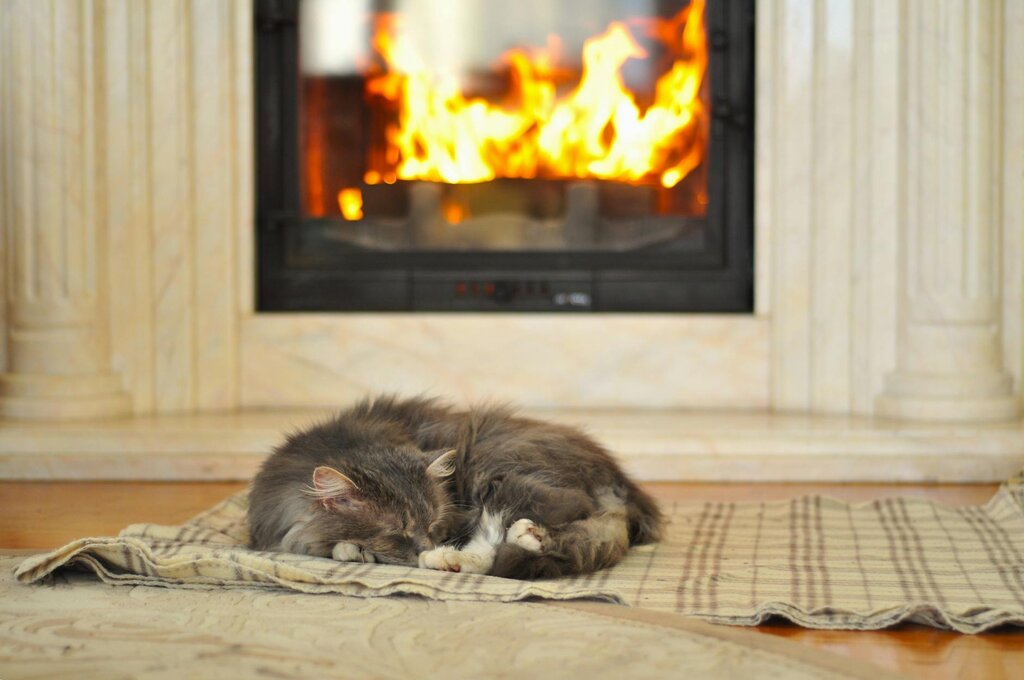 a fluffy grey cat sleeping in front of a warm fire inside