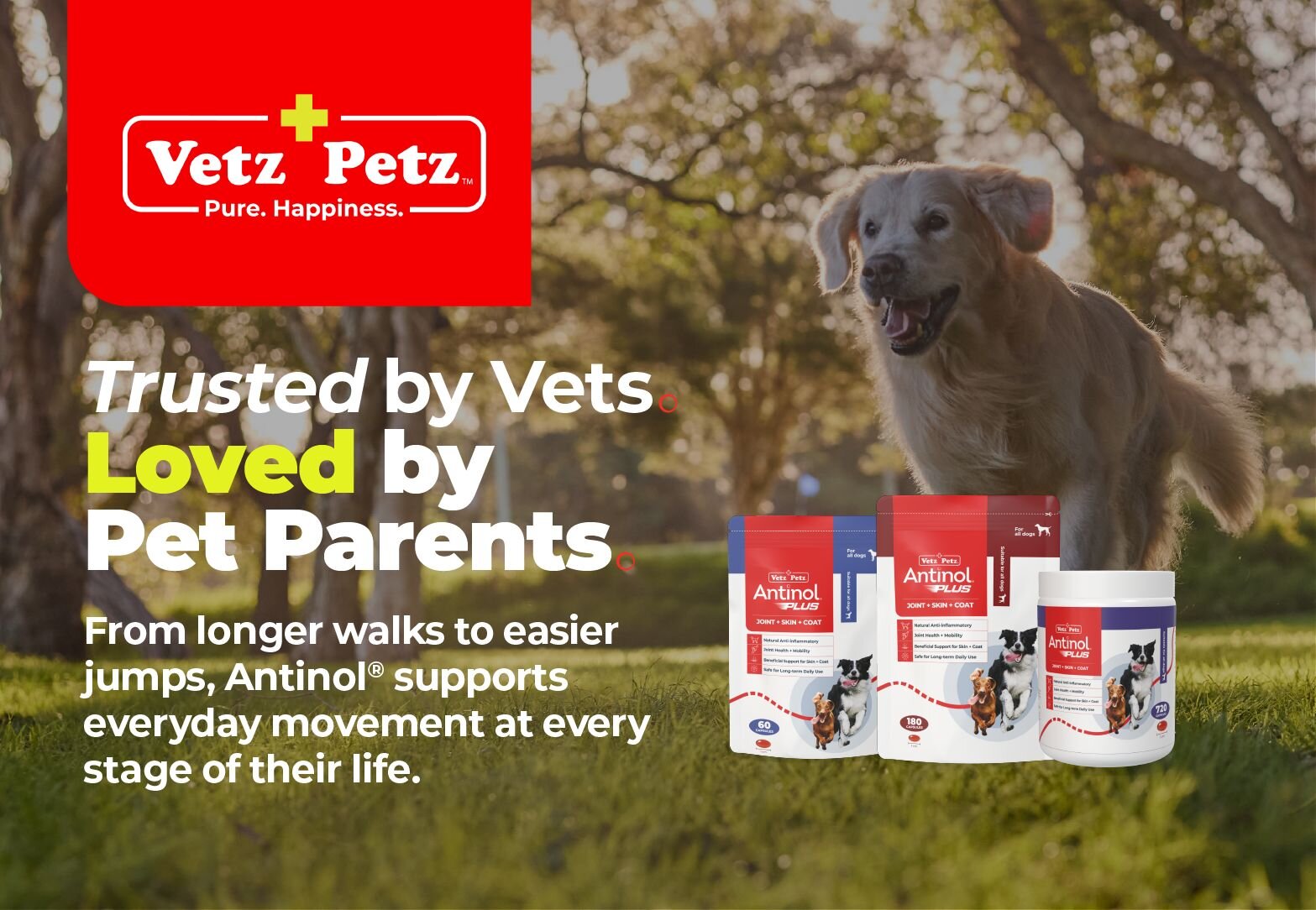 Trusted by Vets, Loved by pet parents