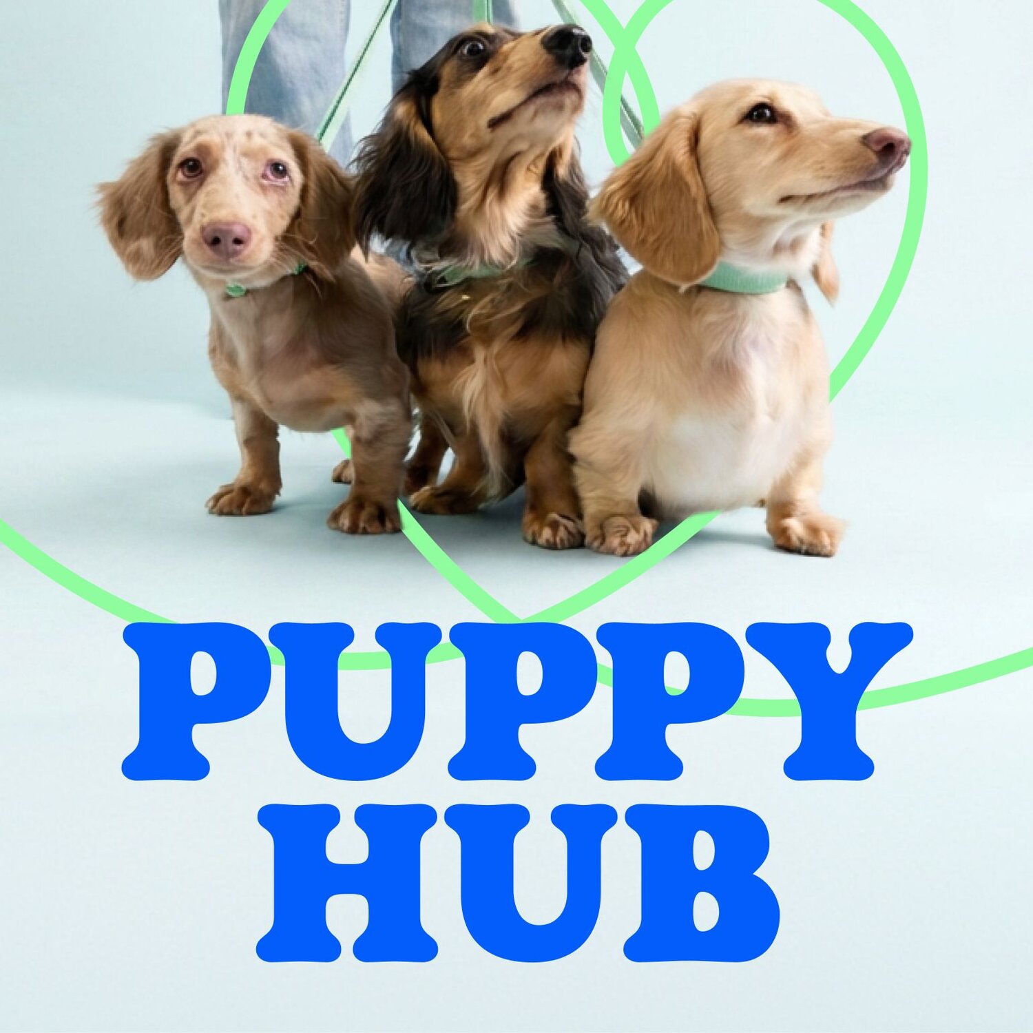 New pet hub