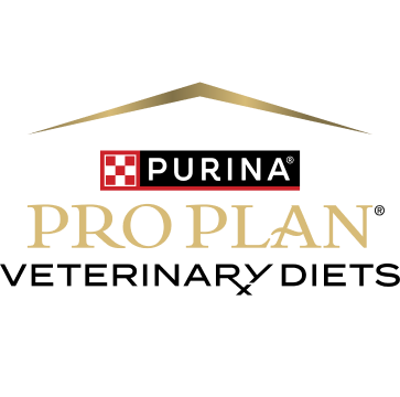 Pro Plan