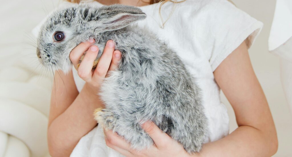 young girl holding rabbit