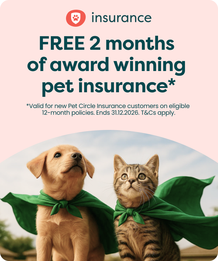 Insurance