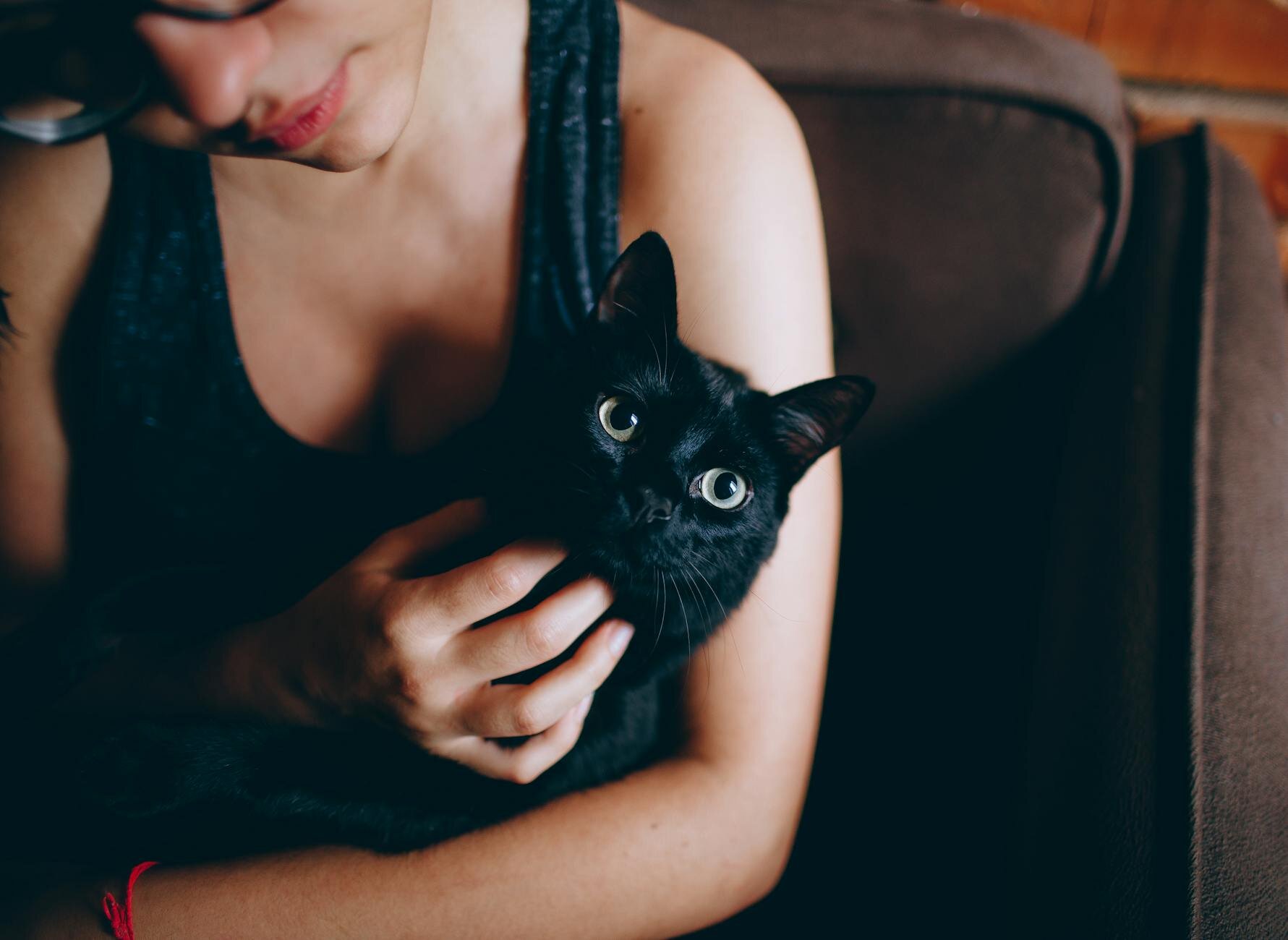 human cuddling cat