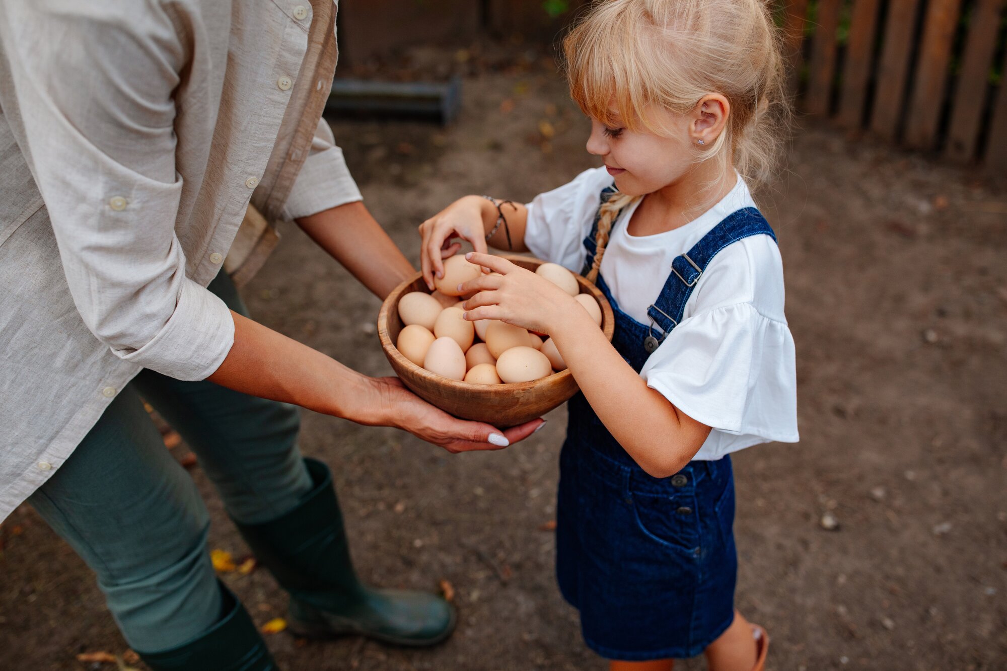 girl helping to collect chicken eggs
