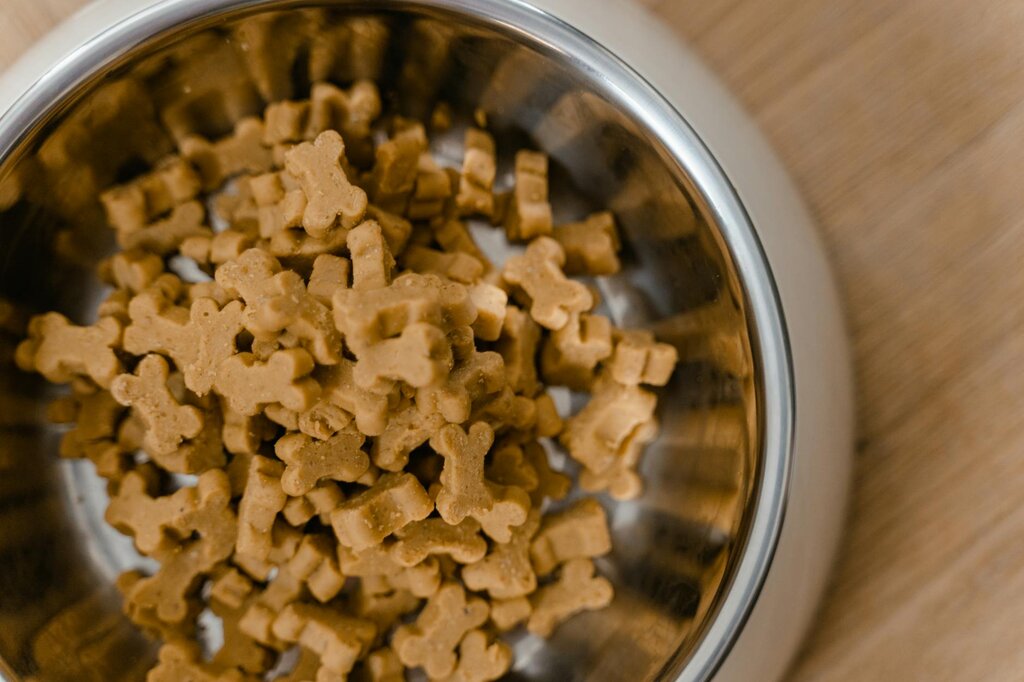 dry pet food in a bowl