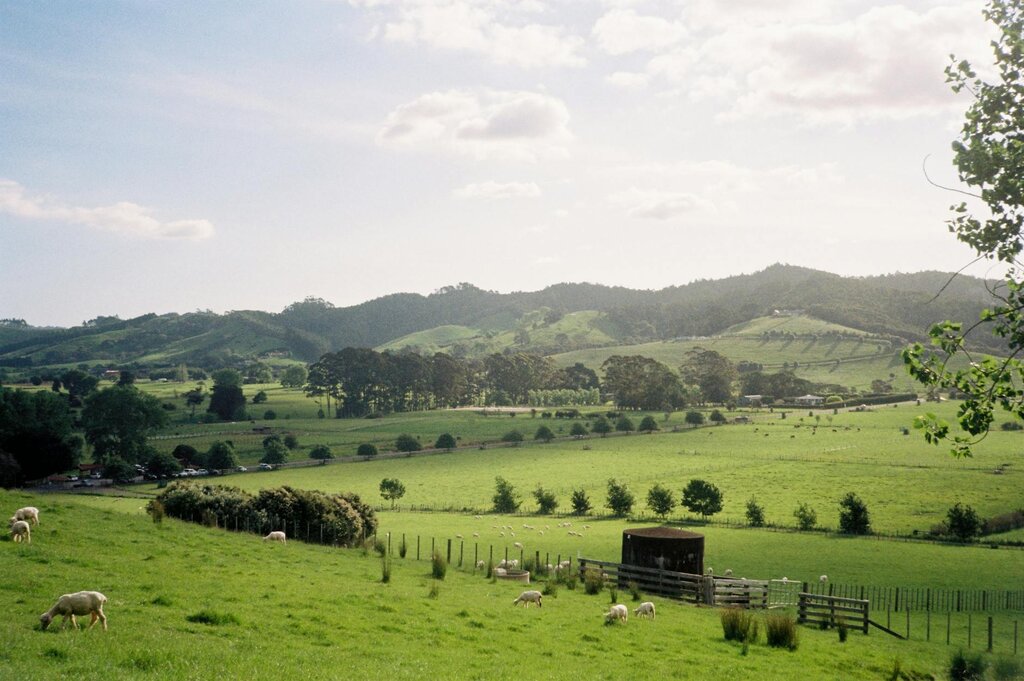 farm in New Zealand