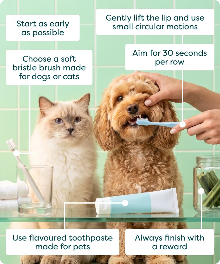 How to brush