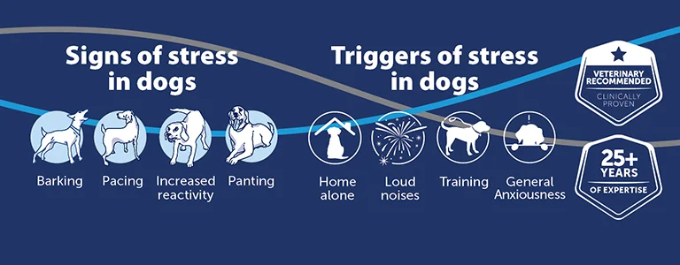 signs and triggers of stress in dogs