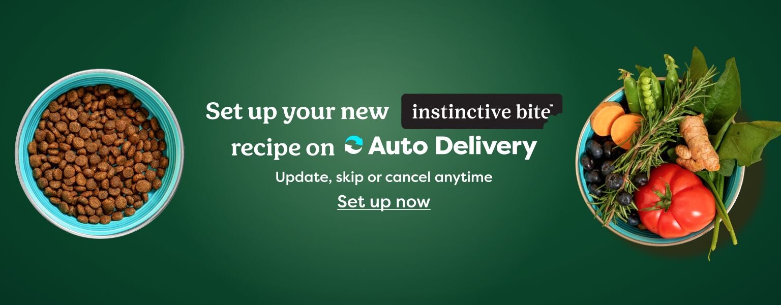Set up auto-delivery