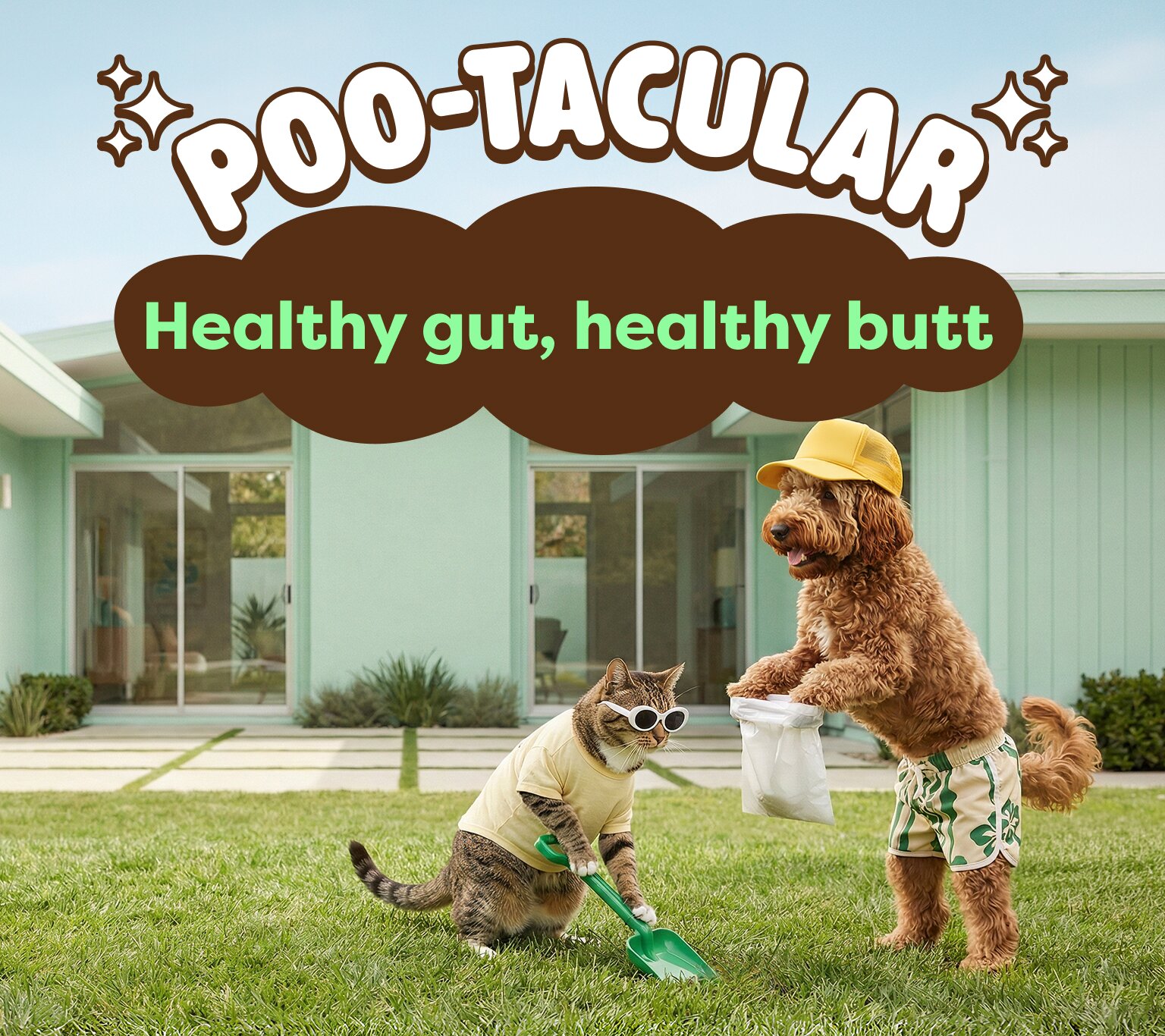 Pootacular- healthy gut, healthy butt