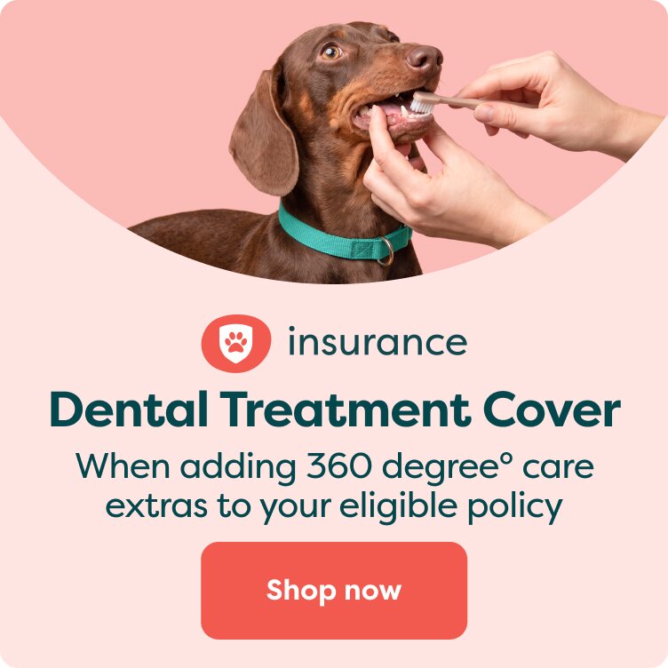 Dental treatment cover