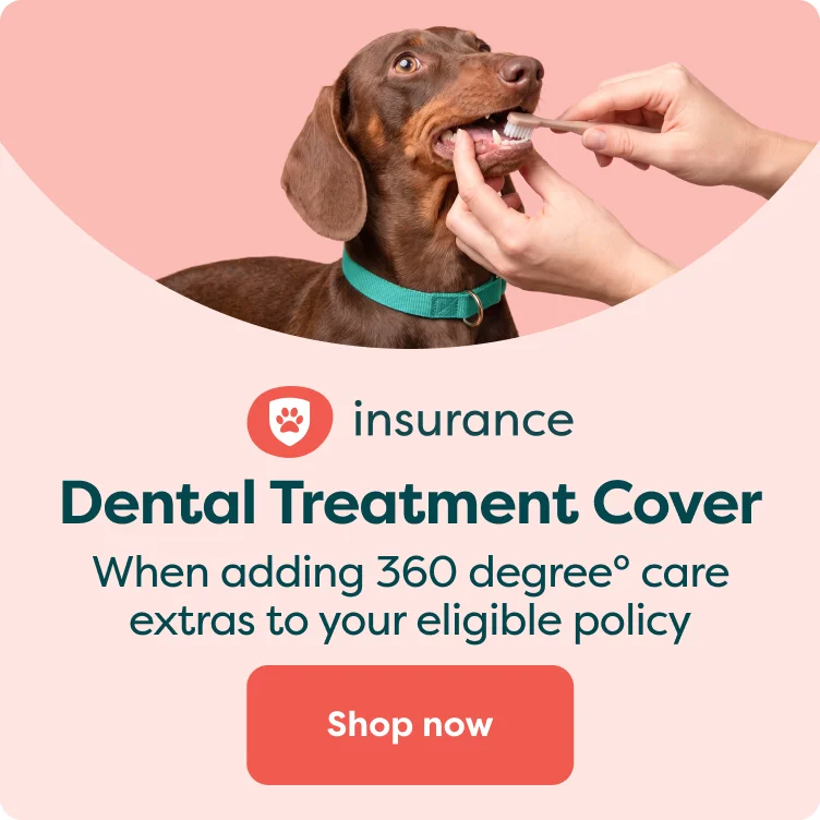Dental treatment cover