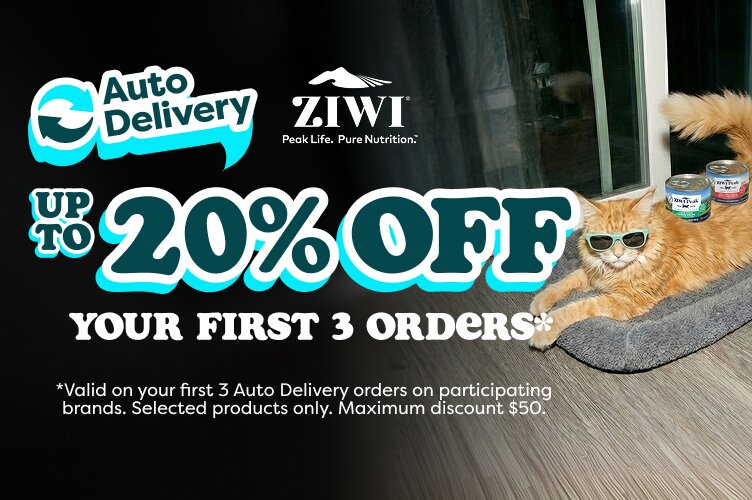 Auto delivery offer