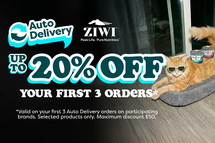 Auto delivery offer