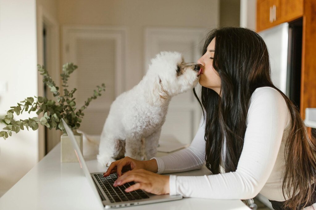 dog licking person's face