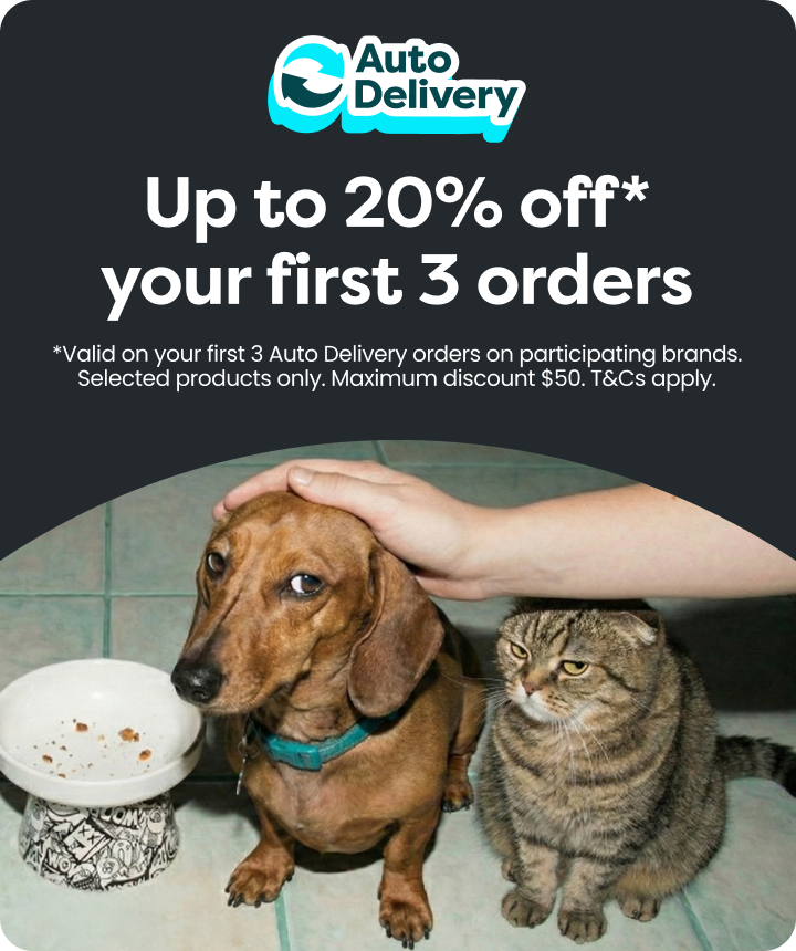 Auto Delivery offer