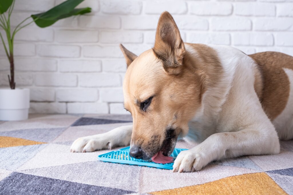 dog licking lick mat