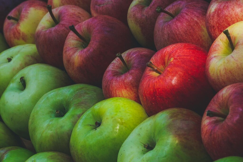 photo of different varieties of apple
