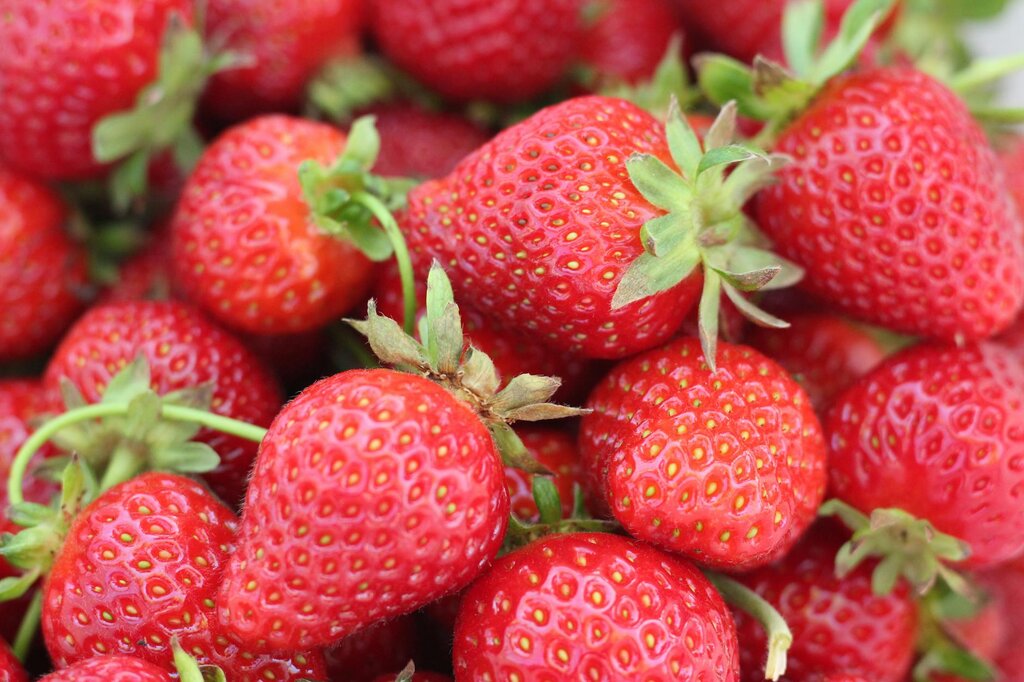 close up photo of strawberries 