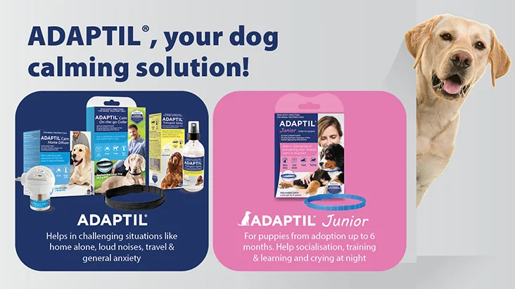 adaptil calming care