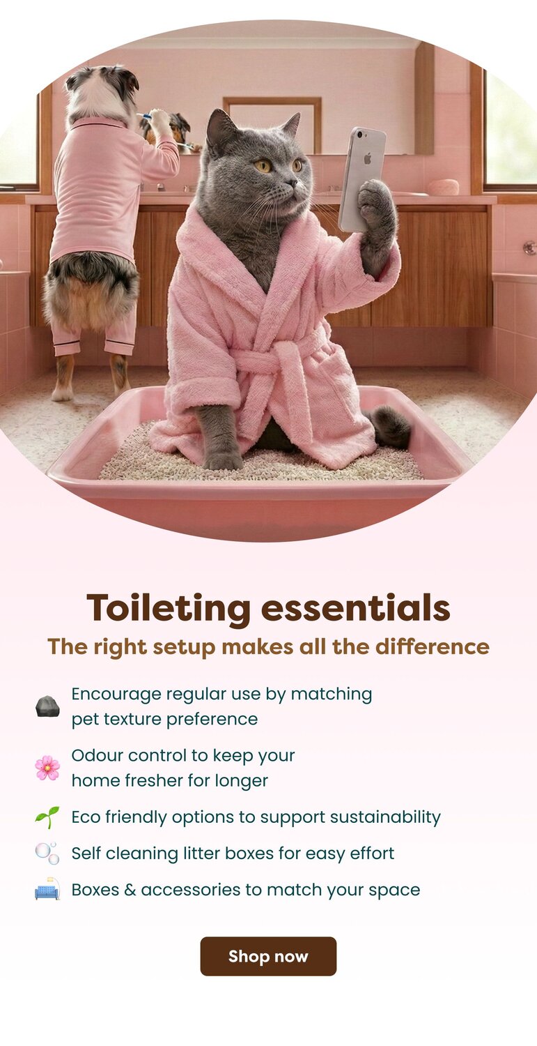 cat litter and essentials