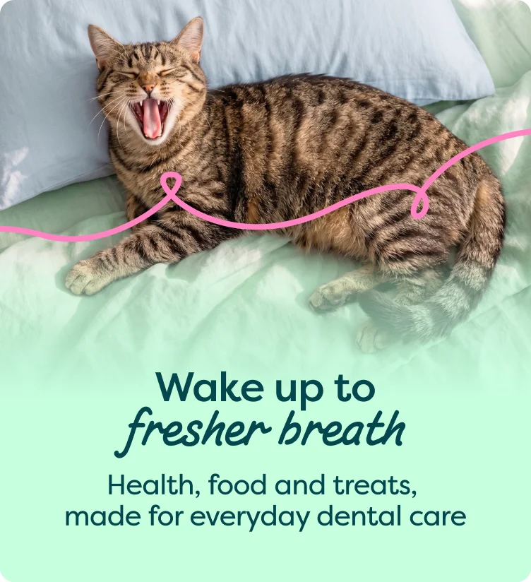 Wake up to fresher breath