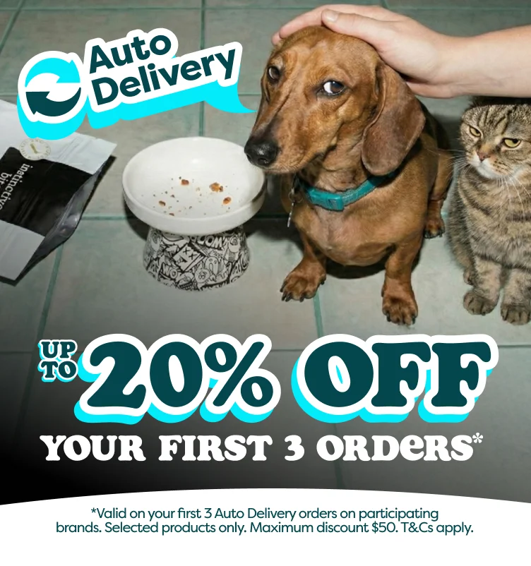 Auto Delivery Offer