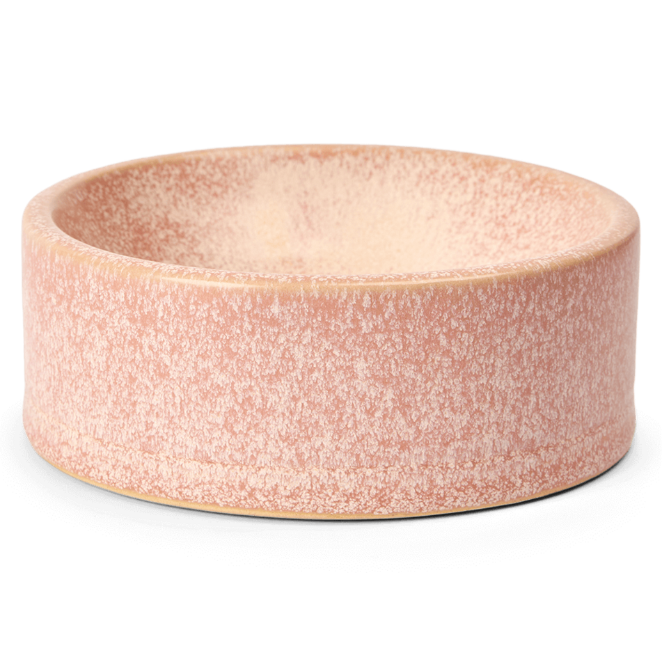 ceramic pet bowl