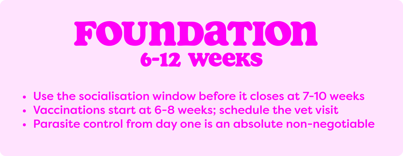 6-12 weeks