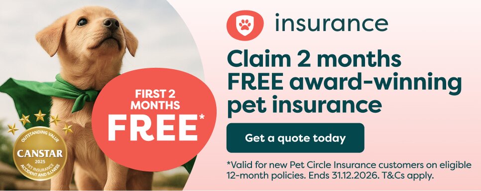 Insurance