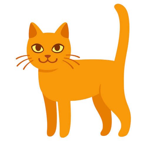 animation of happy cat