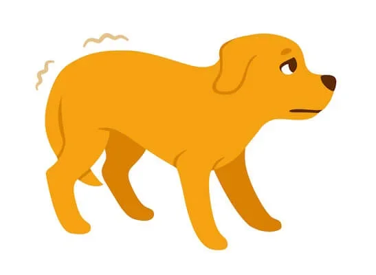 animation of dog cowering