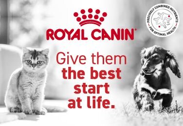 Royal Canin | Give Them The Best Start At Life 