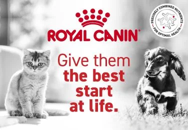Royal Canin | Give Them The Best Start At Life 