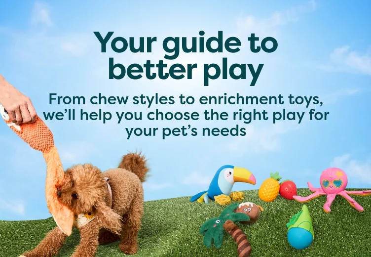 Your guide to better play