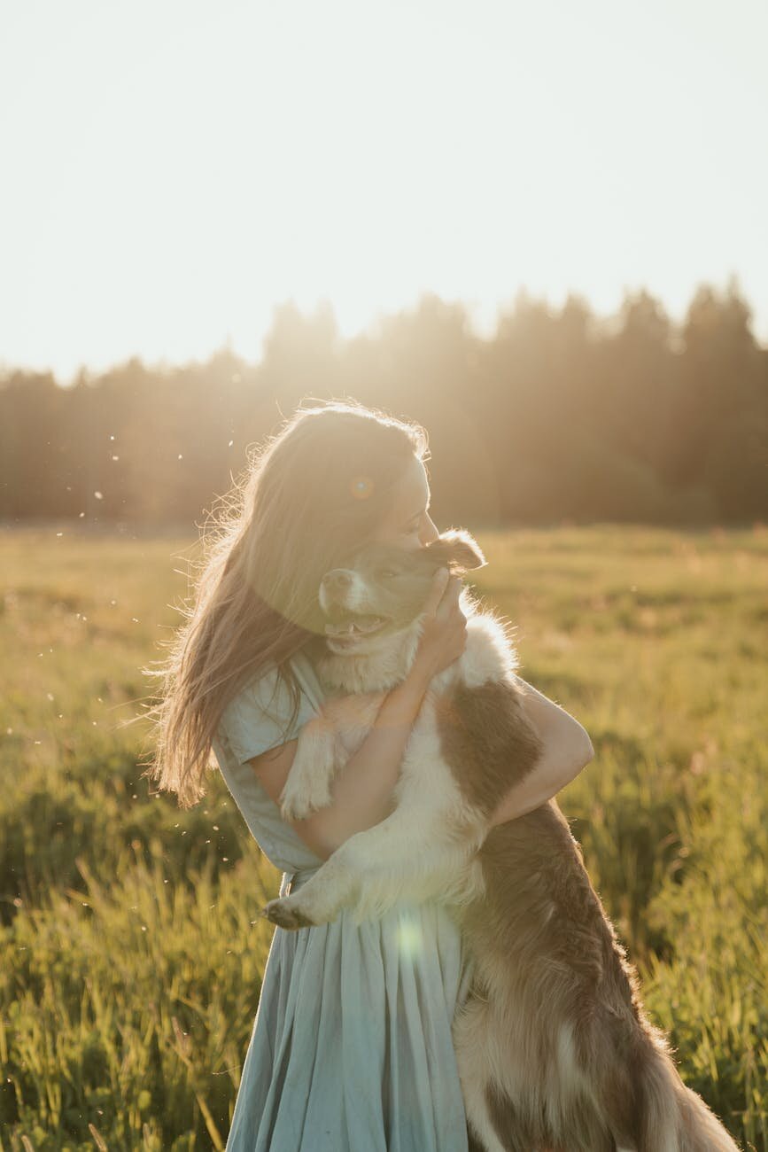 lady cuddling border collie in field