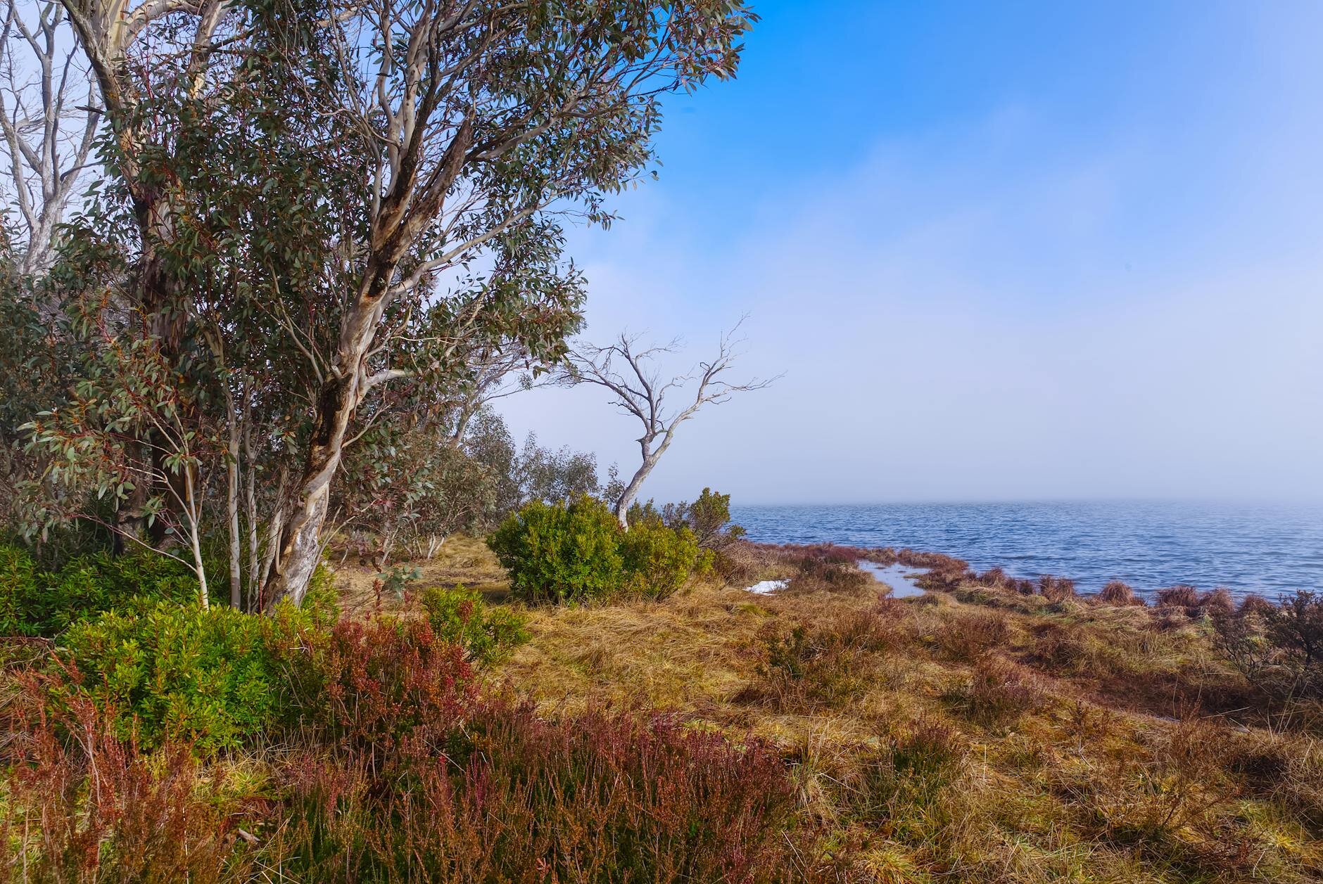 Australian coastal bushland