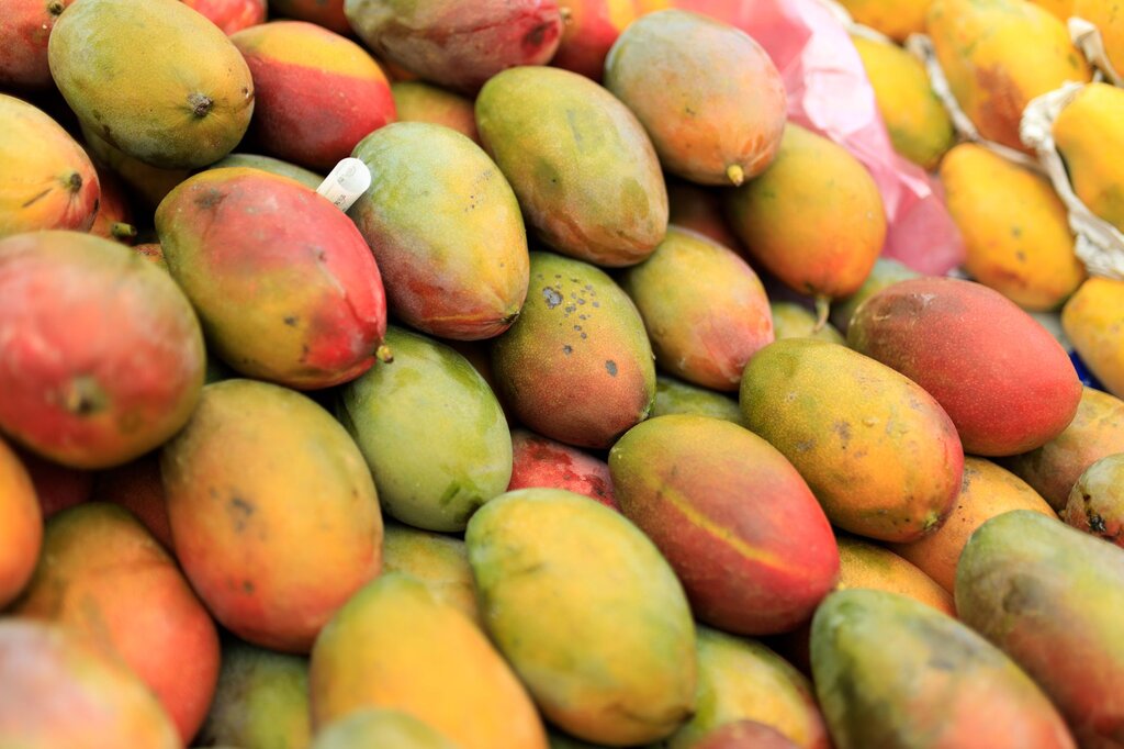pile of mangoes