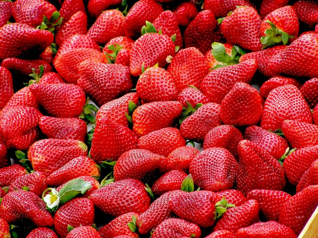 ripe strawberries
